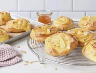 puddingschnecken_84545.webp