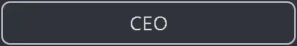 ceo.webp