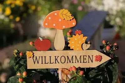 autumn-3687450_1280_1.webp
