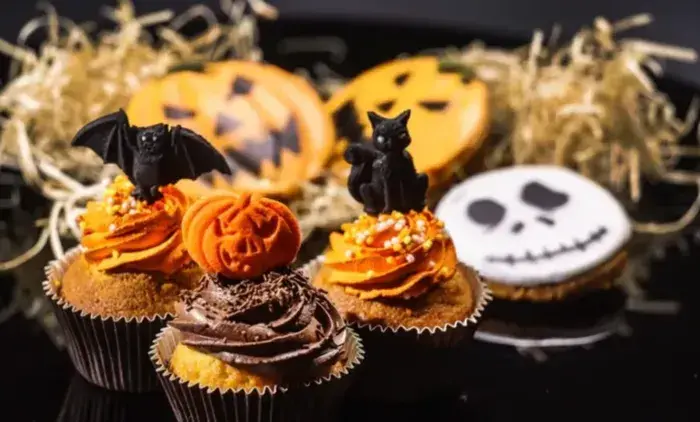 jkrha.webp jkrha.webp