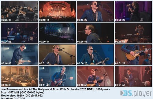 joebonamassaliveatthehollywoodbowlwithorchestra2023bdrip.jpg