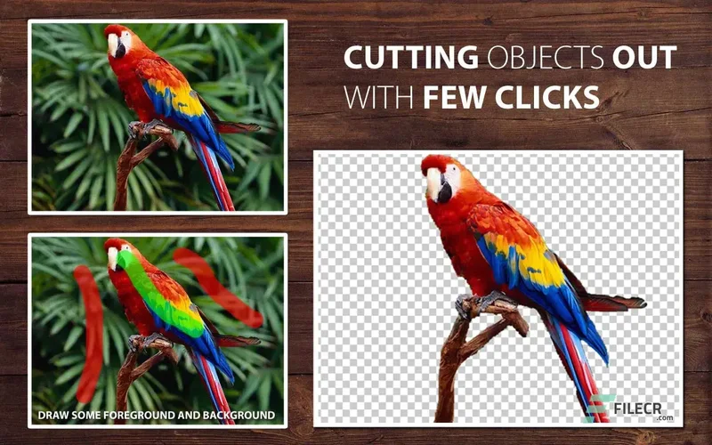 aaaa.webp