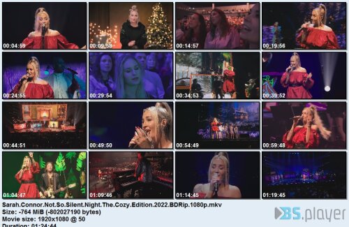 sarahconnornotsosilentnightthecozyedition2022bdrip.jpg
