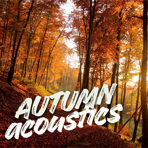 789082449_va-autumn-acoustics.jpg