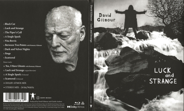 David-Gilmour-Luck-and-Strange.jpg