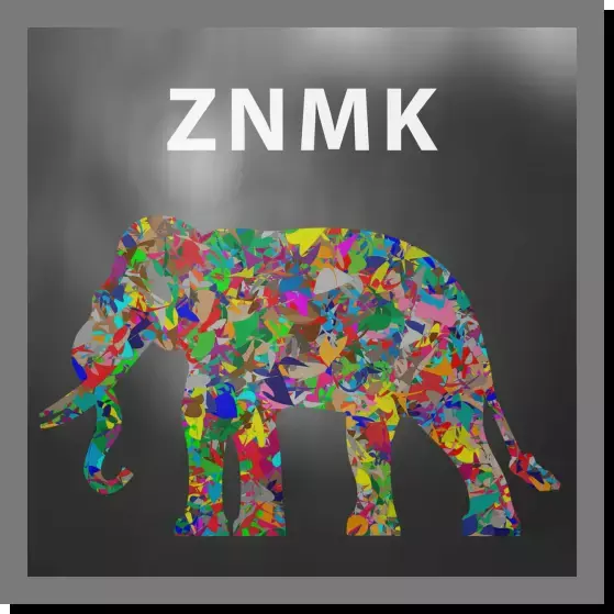 xqio2nvs.webp