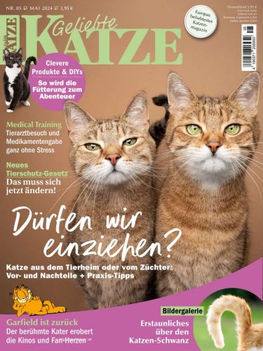 Geliebte-Katze-Mai-2024.jpg