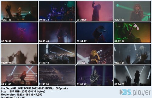 thegazettelivetour2022-2023bdrip.jpg