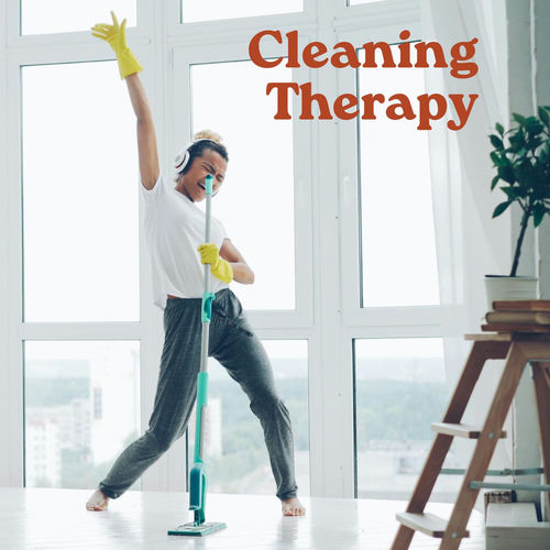 786438403_va-cleaning-therapy.jpg