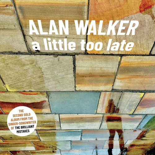 Alan Walker - A Little Too Late (2024)