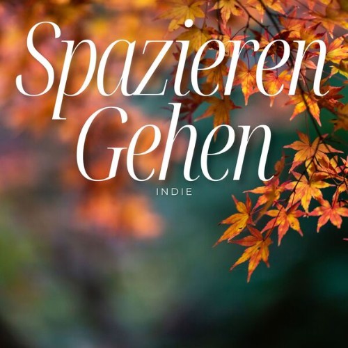 780517740_va-spazieren-gehen-indie.jpg