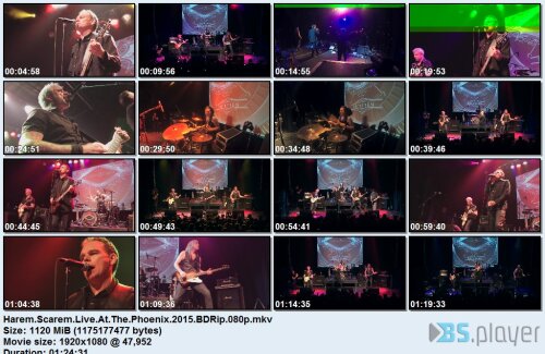 haremscaremliveatthephoenix2015bdrip.jpg