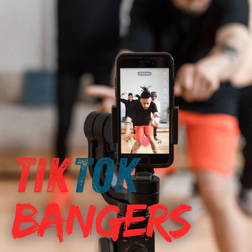 793576740_va-tiktok-bangers.jpg