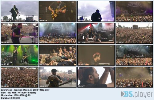 zebrahead-wacken-open-air-2024-1080p_idx.jpg