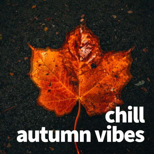 778985075_va-chill-autumn-vibes.jpg