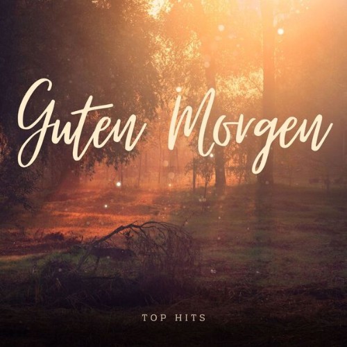 780517742_va-guten-morgen-top-hits.jpg