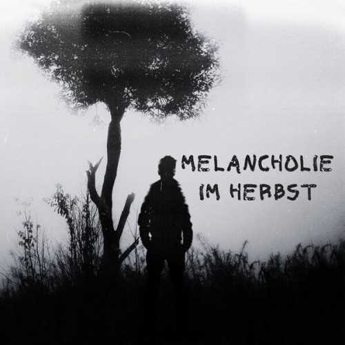 780517739_va-melancholie-im-herbst.jpg