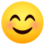 Lächelndes Gesicht mit lachenden Augen :blush: 😊